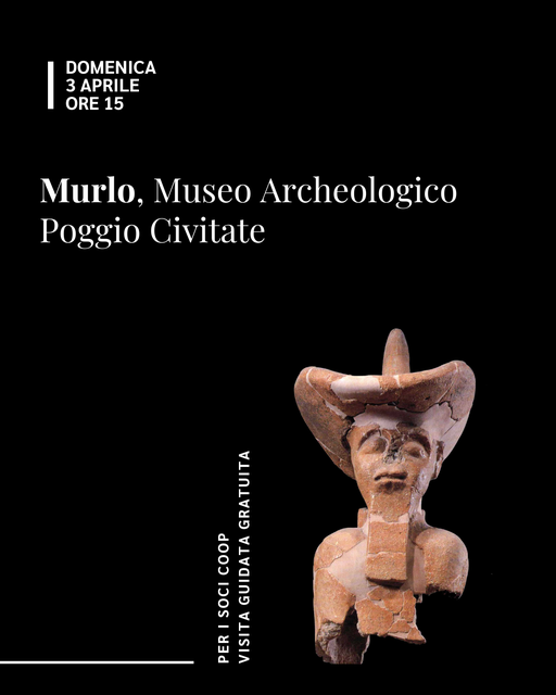 Museo etrusco Visite guidate