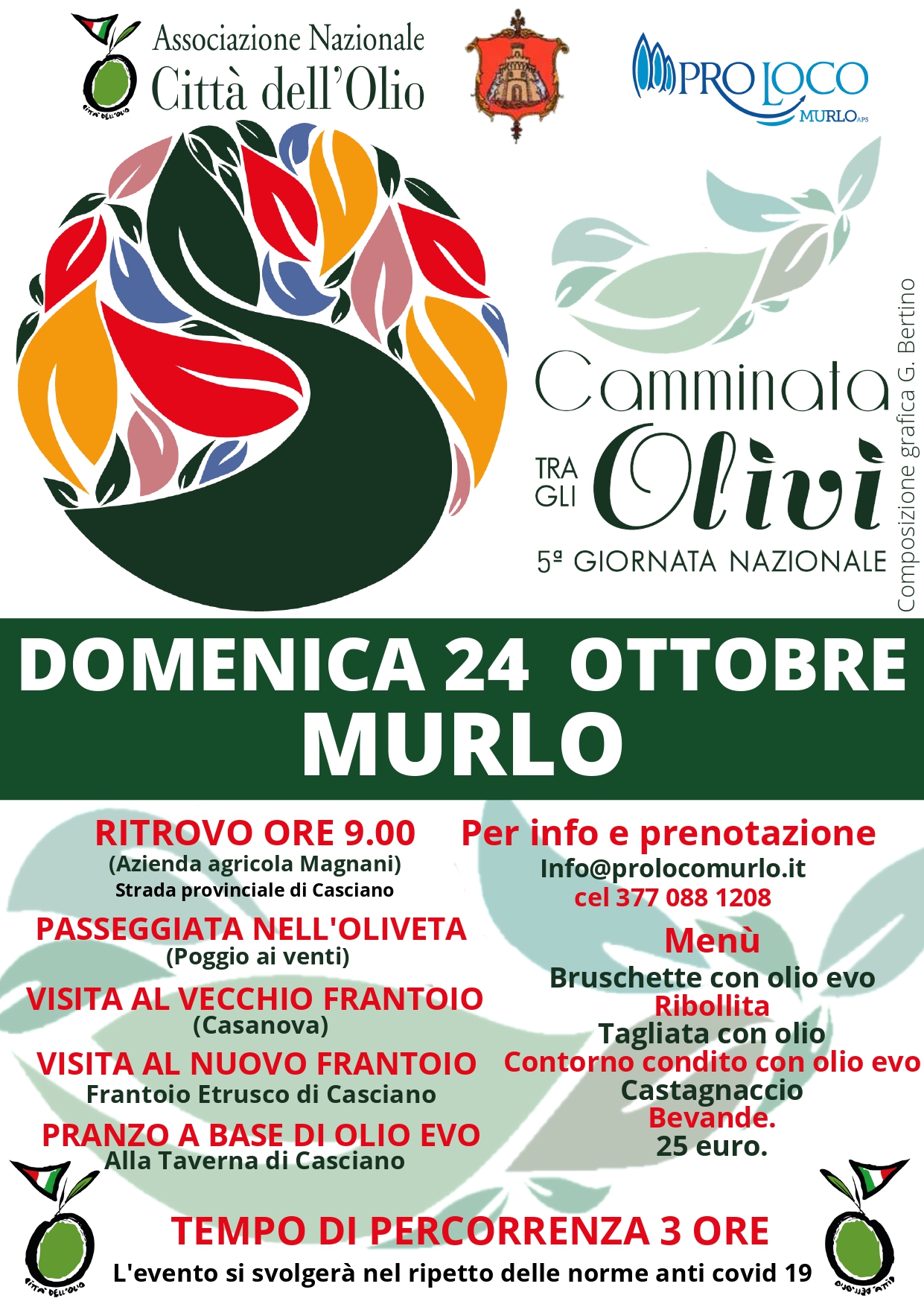 Camminata tra gli olivi